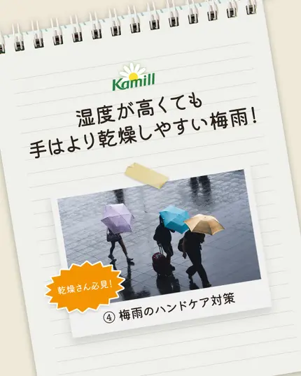 🌿カミールと共にする
夏のハンドケア🌿

“梅雨は湿気が多いからハンドクリームは塗りません”

でもこんな時ほど 
ハンドケアにもっと気を使わなければならないという事実！
ご存知でしたか？

じめじめし